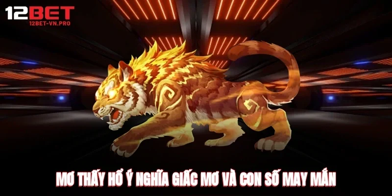 Các ý nghĩa trong việc mơ thấy hổ theo nhiều ý kiến
