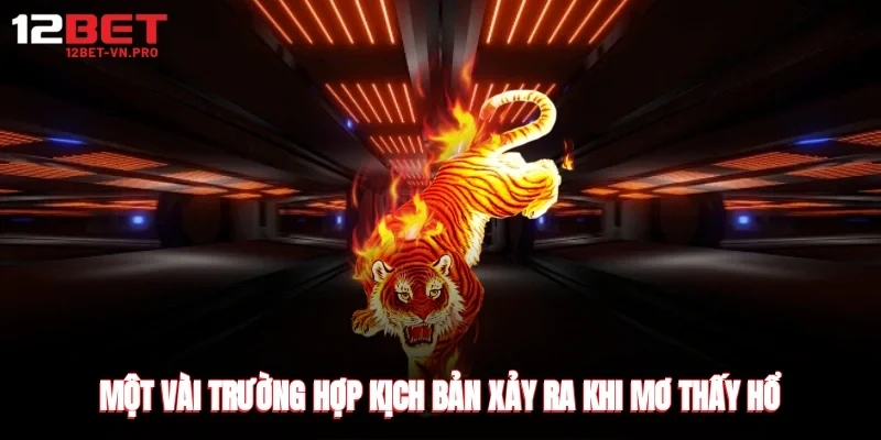Một vài trường hợp kịch bản xảy ra khi mơ thấy hổ