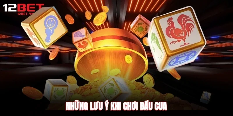 Những lưu ý khi chơi bầu cua