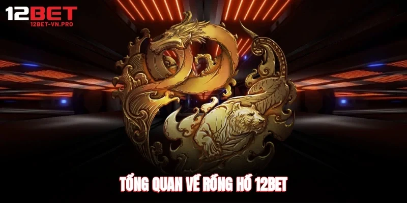 Tổng quan về rồng hồ 12bet